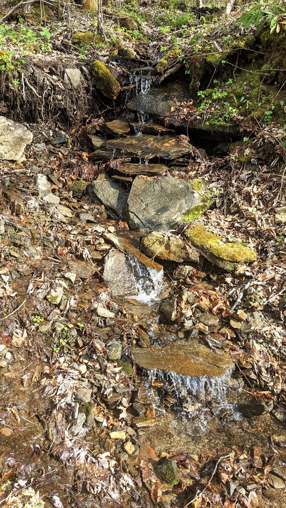 837 Hemlock Falls Road