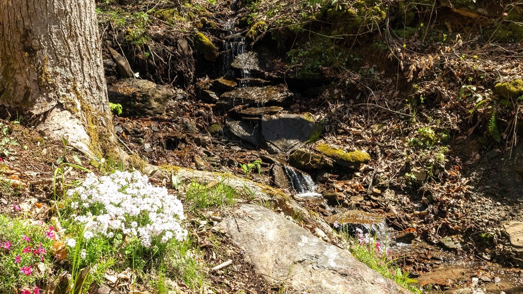 833 Hemlock Fall Road