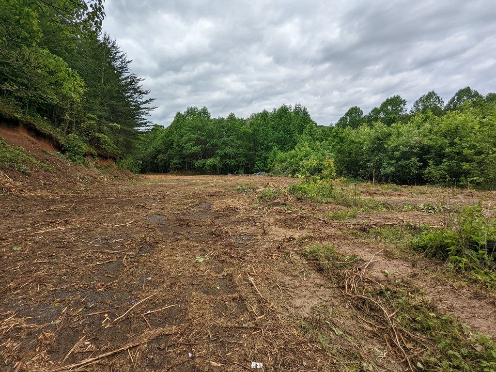 00 Grindstaff Cove Road