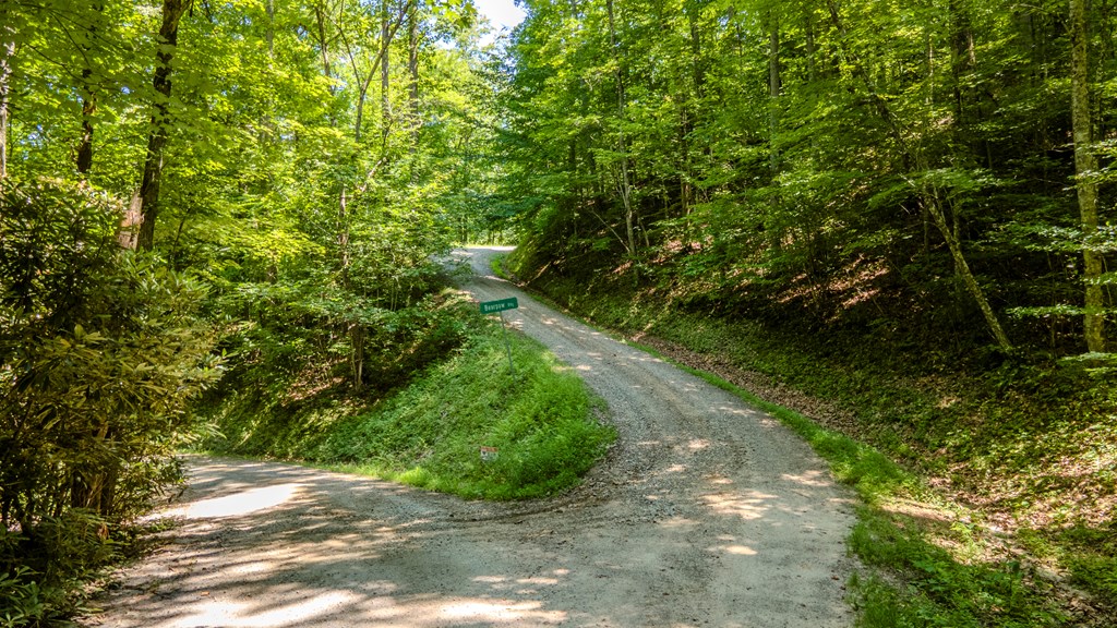 274 Bear Paw Ridge