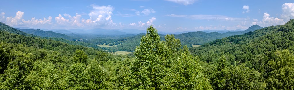 274 Bear Paw Ridge
