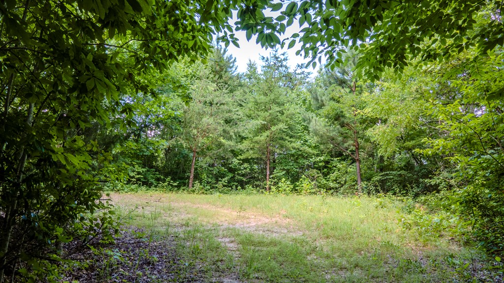 274 Bear Paw Ridge