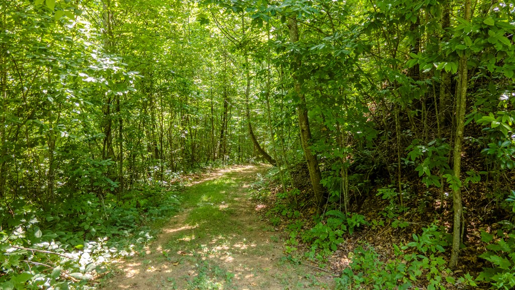 274 Bear Paw Ridge