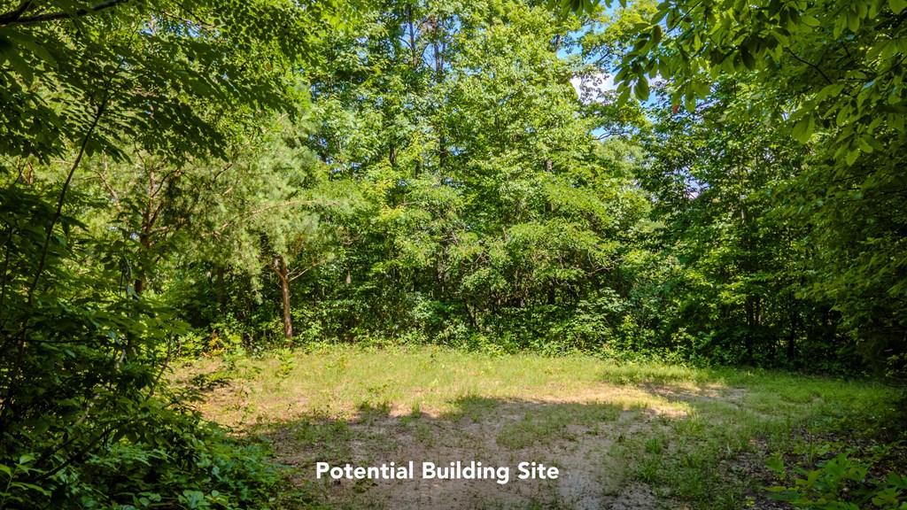 274 Bear Paw Ridge