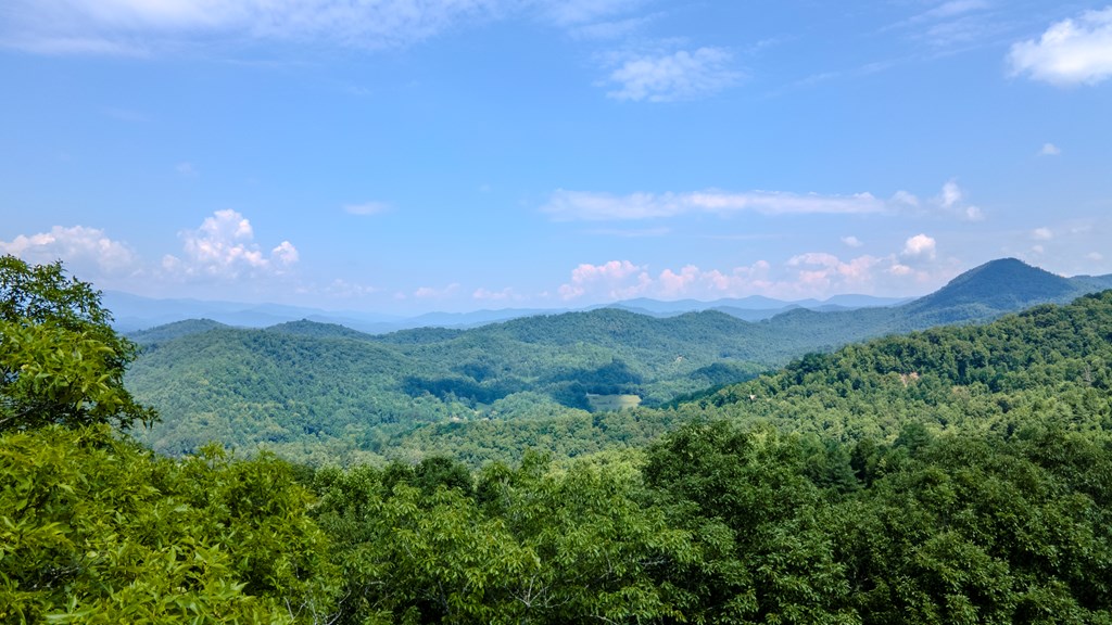 274 Bear Paw Ridge