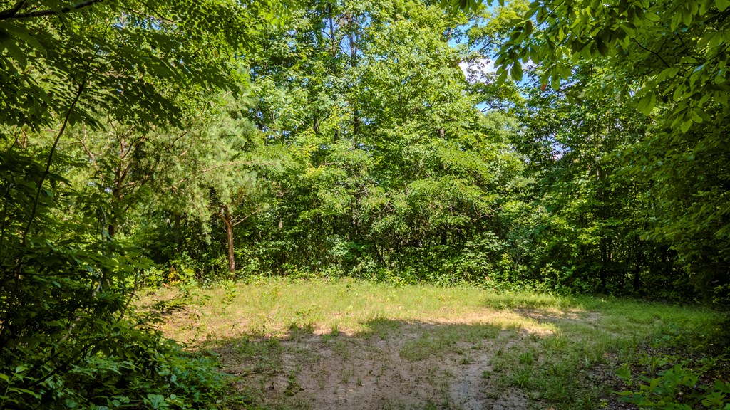 274 Bear Paw Ridge