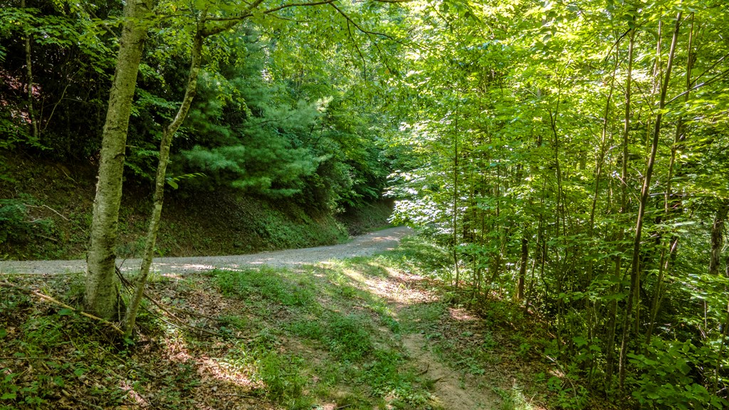 274 Bear Paw Ridge