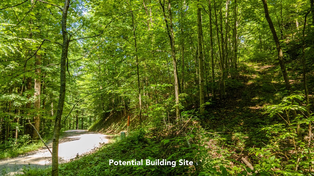 274 Bear Paw Ridge