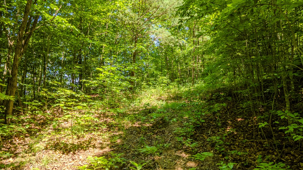 274 Bear Paw Ridge