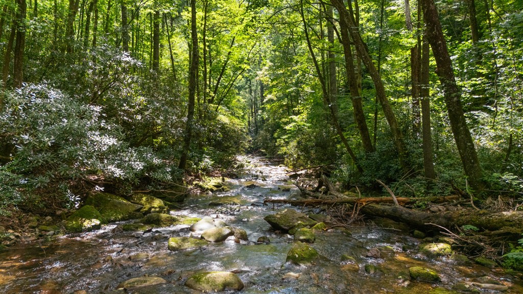 1435 Buck Creek Road
