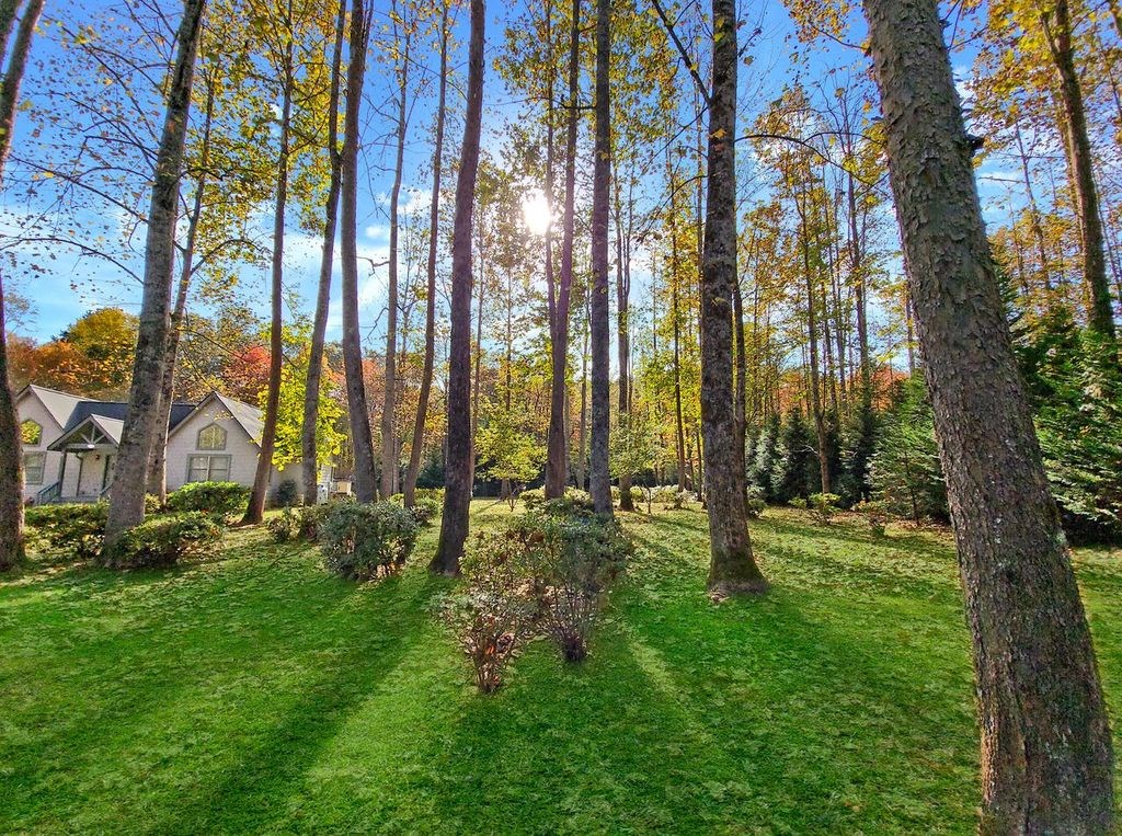 4445 Patton Road