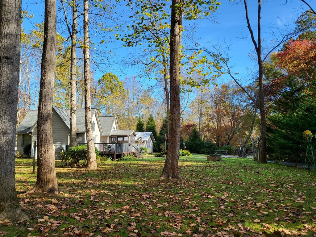 4445 Patton Road