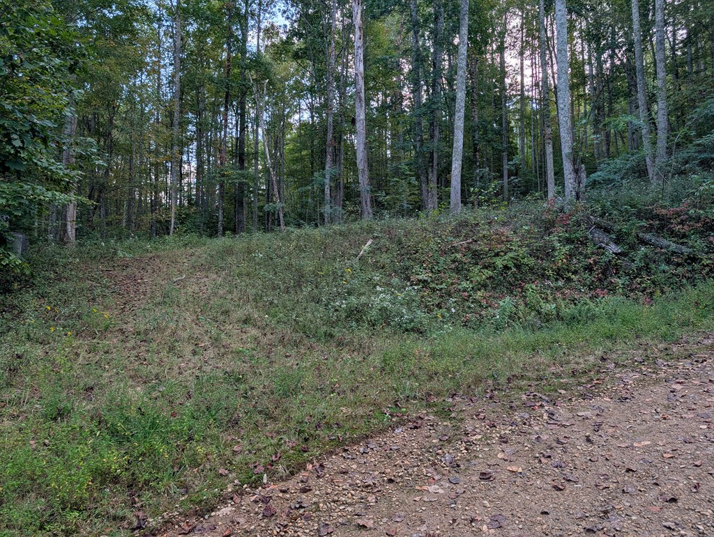 Lot 18 Enchanted Mountain Cove