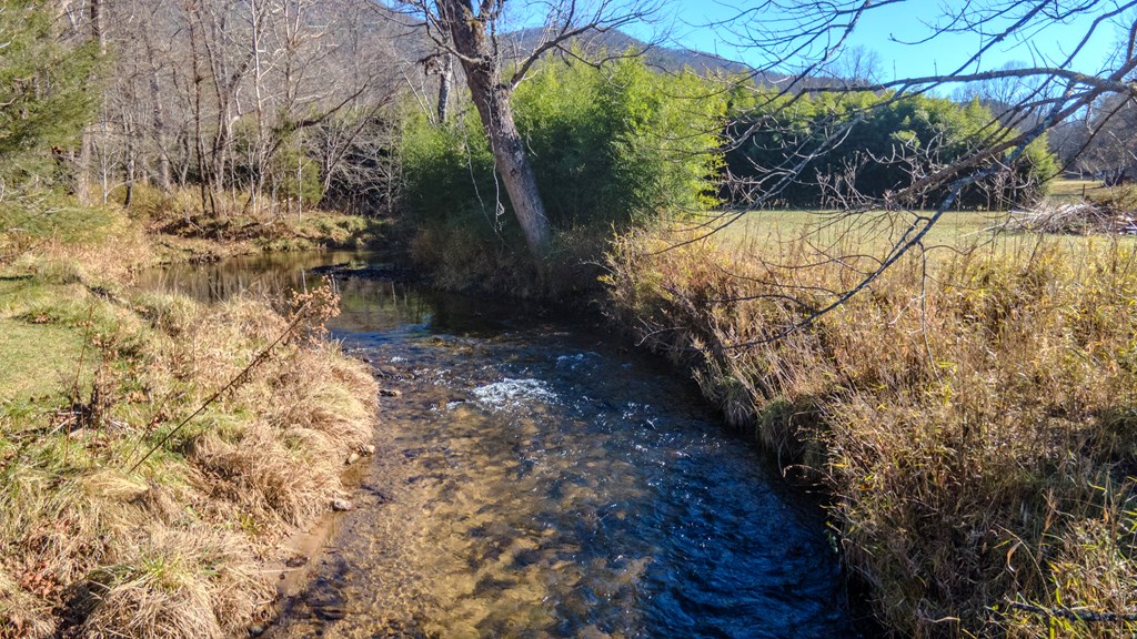 499 W. Middle Creek
