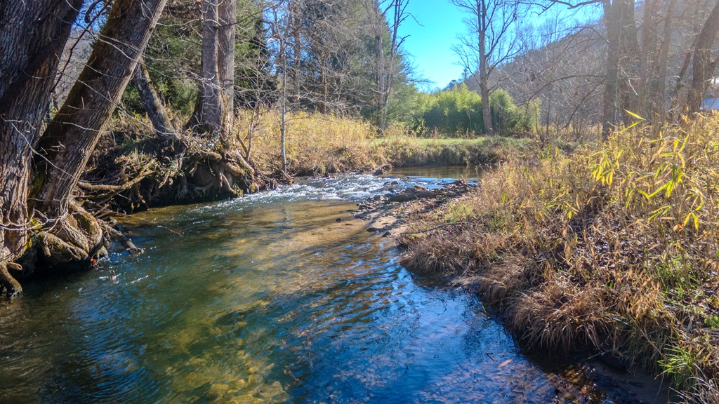 499 W. Middle Creek