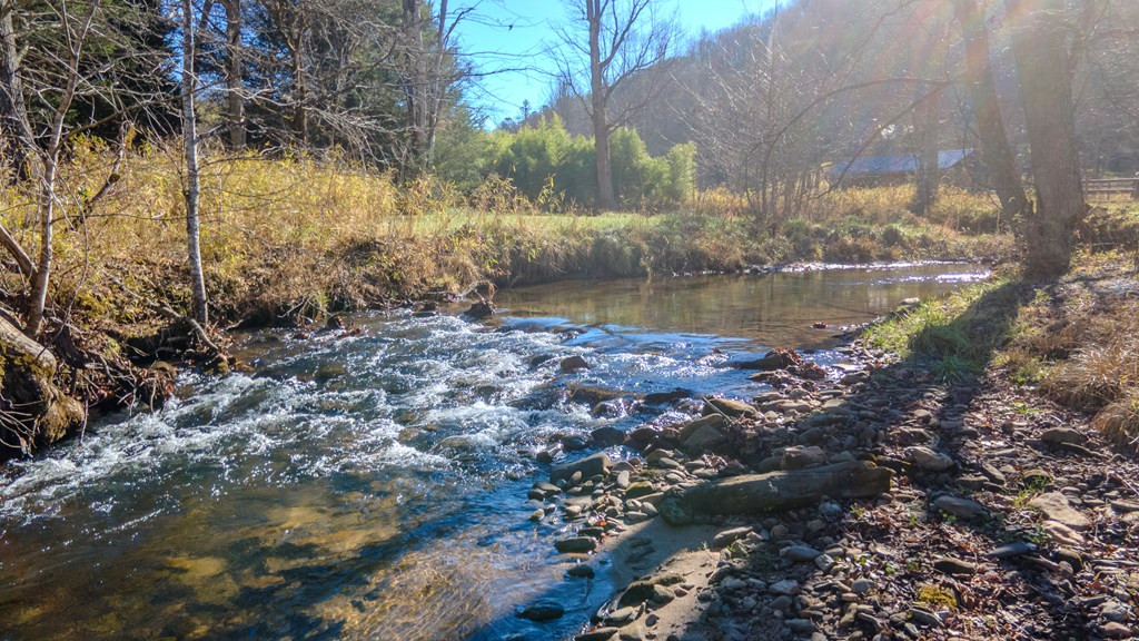 499 W. Middle Creek