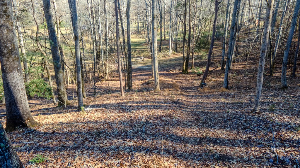 499 W. Middle Creek