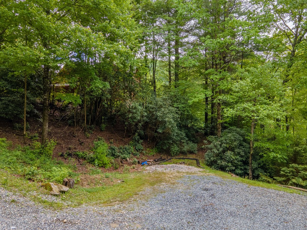 323 Indian Lake Road