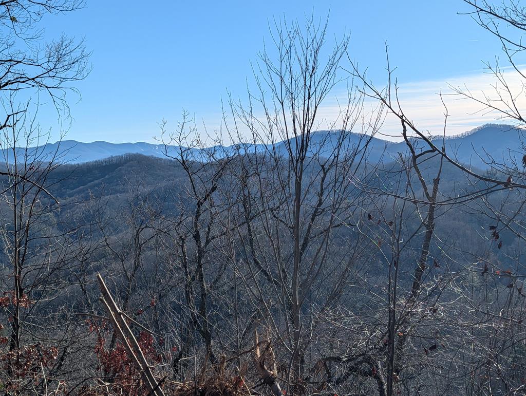 LOT 187 00 Diamond Falls Blvd