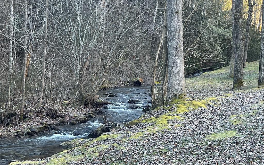 Lot 141 703 Diamond Falls Blvd