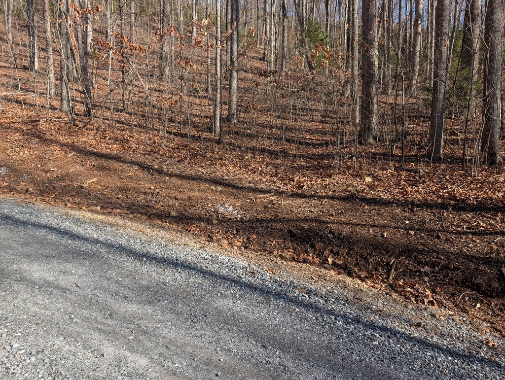 Lot 141 703 Diamond Falls Blvd