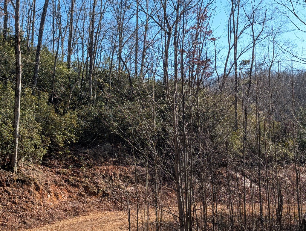 LOT 110 357 Golden Falls Drive