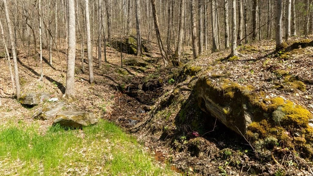 841 Hemlock Falls Road