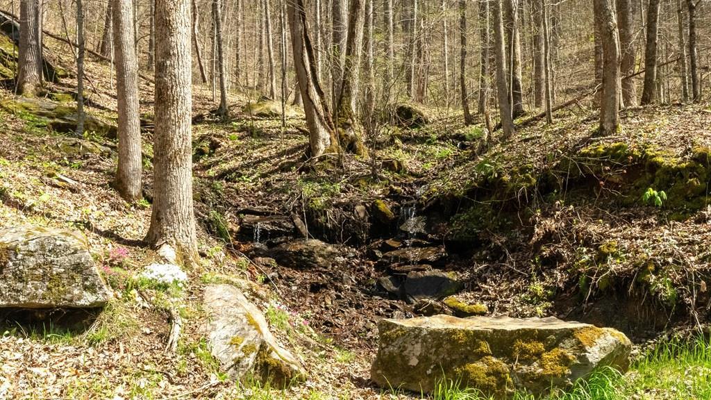 841 Hemlock Falls Road