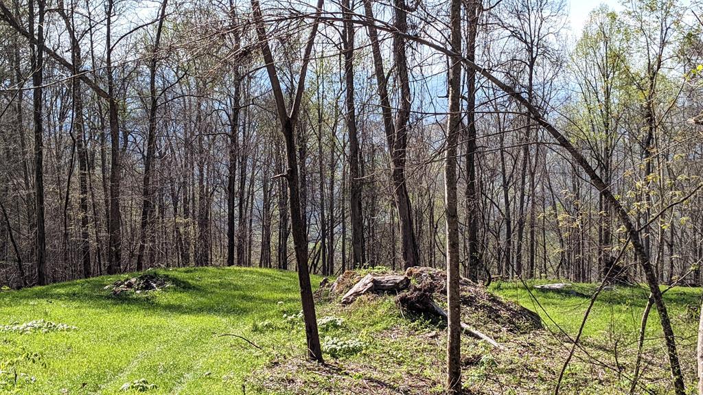 841 Hemlock Falls Road