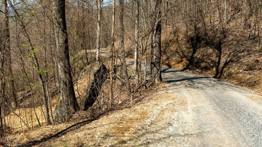 841 Hemlock Falls Road