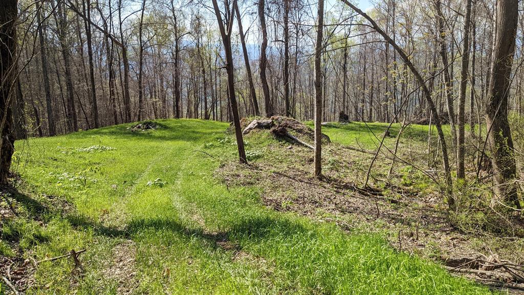 841 Hemlock Falls Road