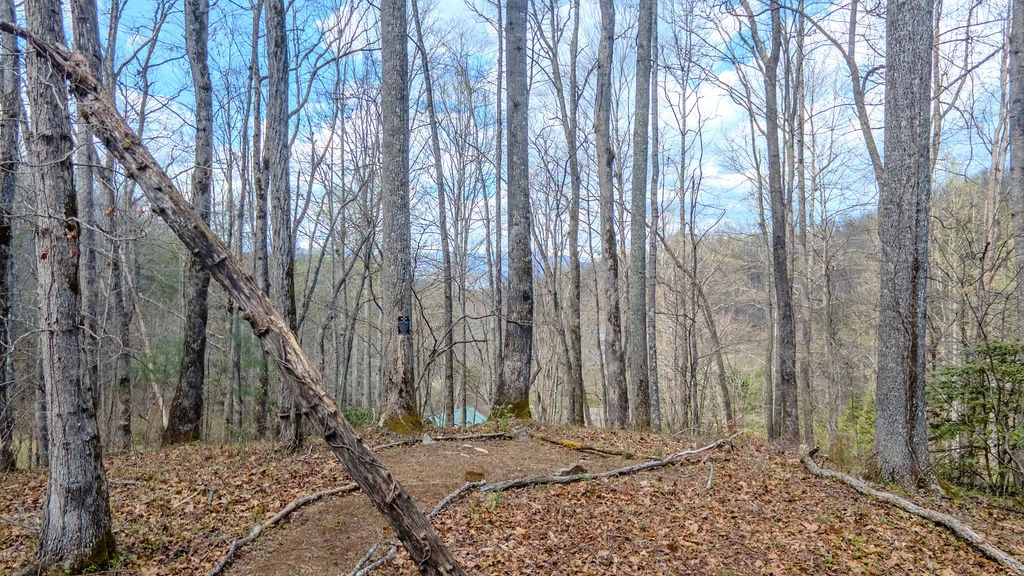 2195 North Jones Creek Rd