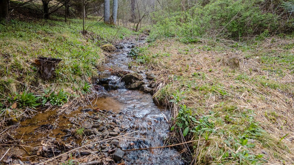 2195 North Jones Creek Rd