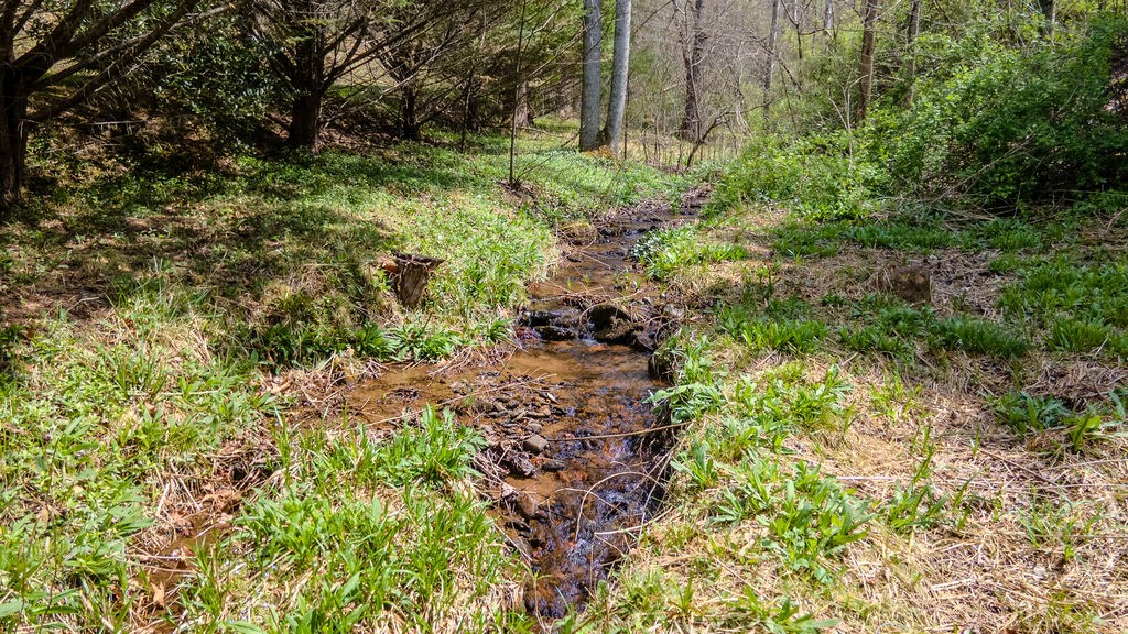 2195 North Jones Creek Rd