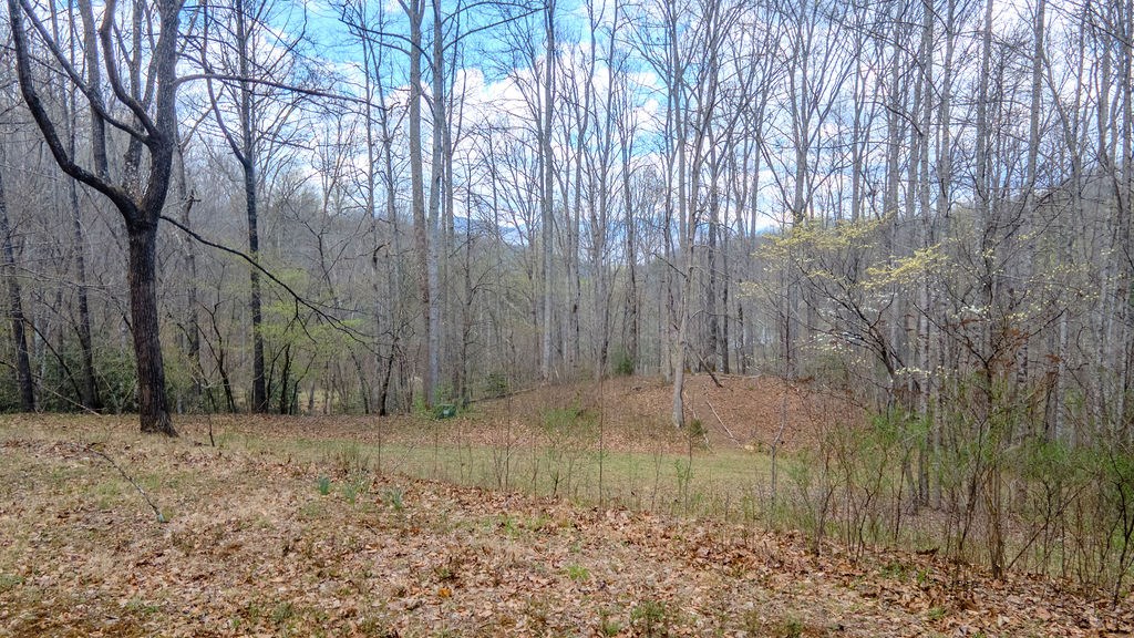 2195 North Jones Creek Rd