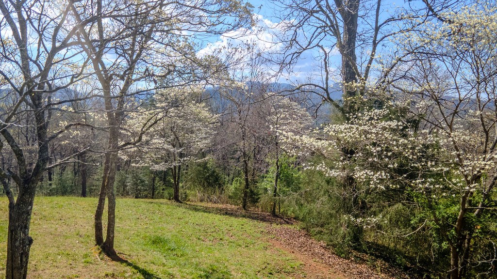 1032 Bethel Church Road