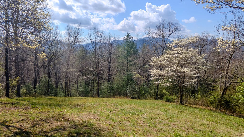 1032 Bethel Church Road