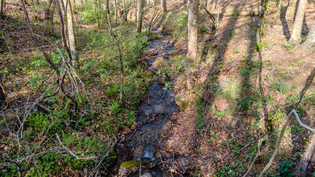1862 Corbin Rd