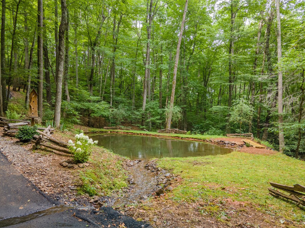 83 Enchanted Mountain Cove