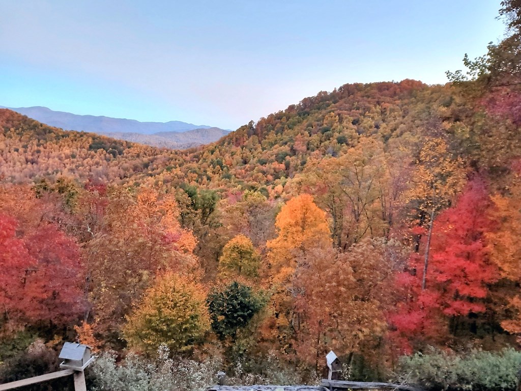 83 Enchanted Mountain Cove