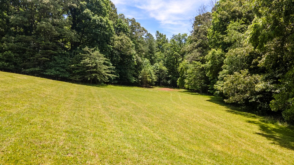503 Dowdle Mtn Rd