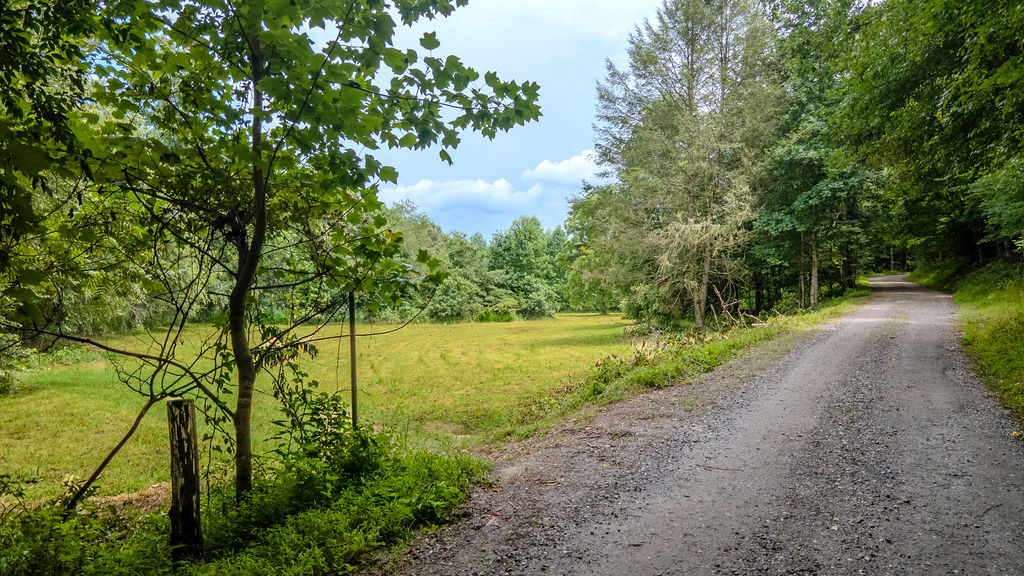 543 Carnes Road