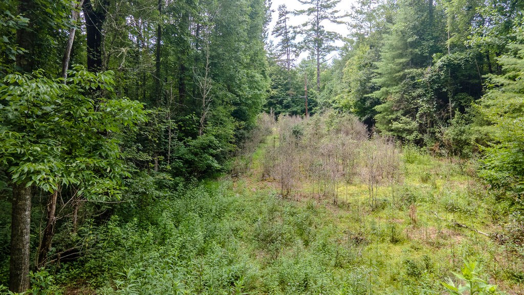 543 Carnes Road