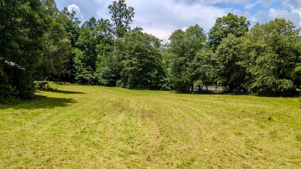 543 Carnes Road