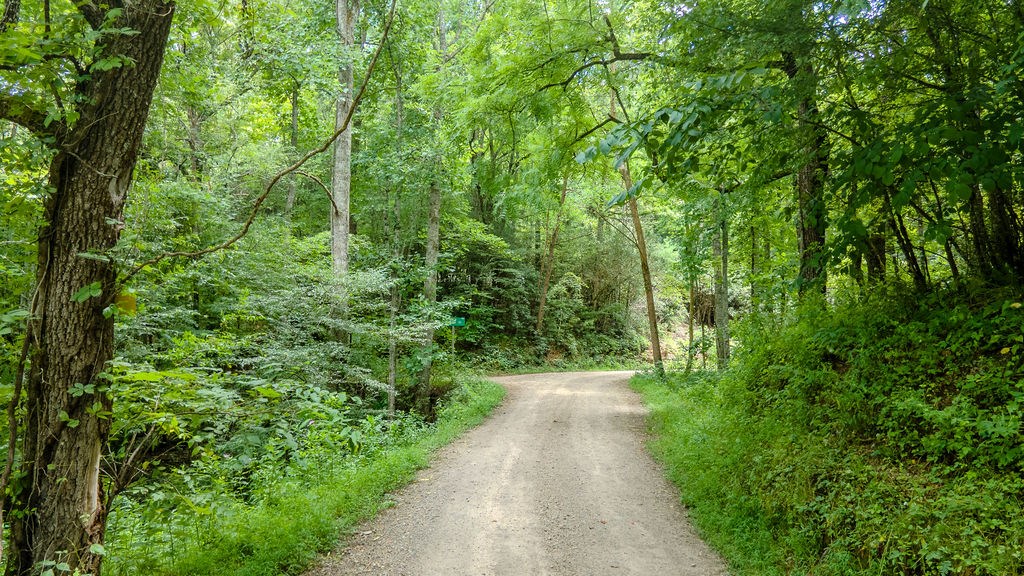 543 Carnes Road
