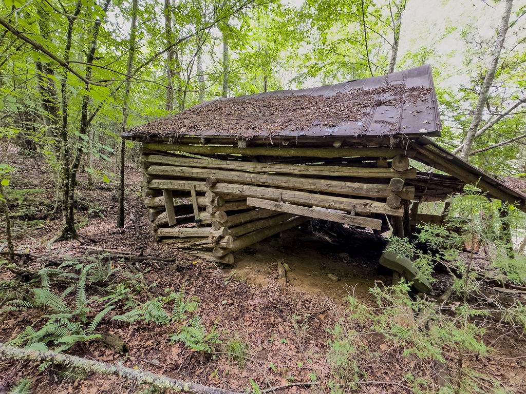543 Carnes Road