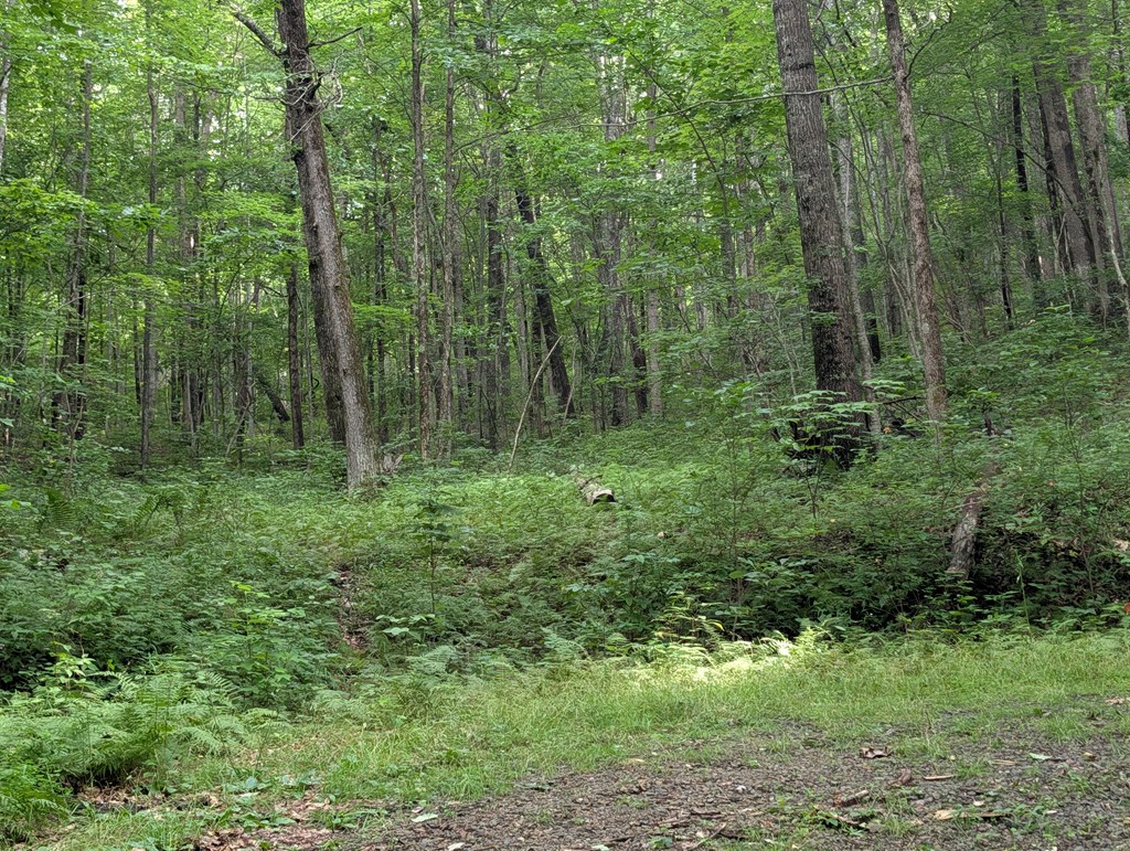 87 Rainbow ridge Rd LOT # 7