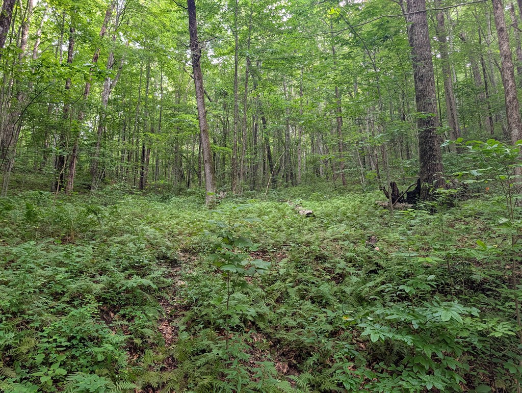 87 Rainbow ridge Rd LOT # 7