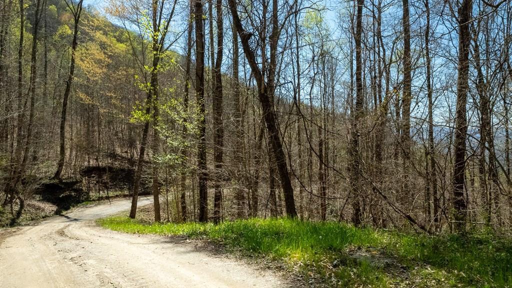 1107 Hemlock Falls Road