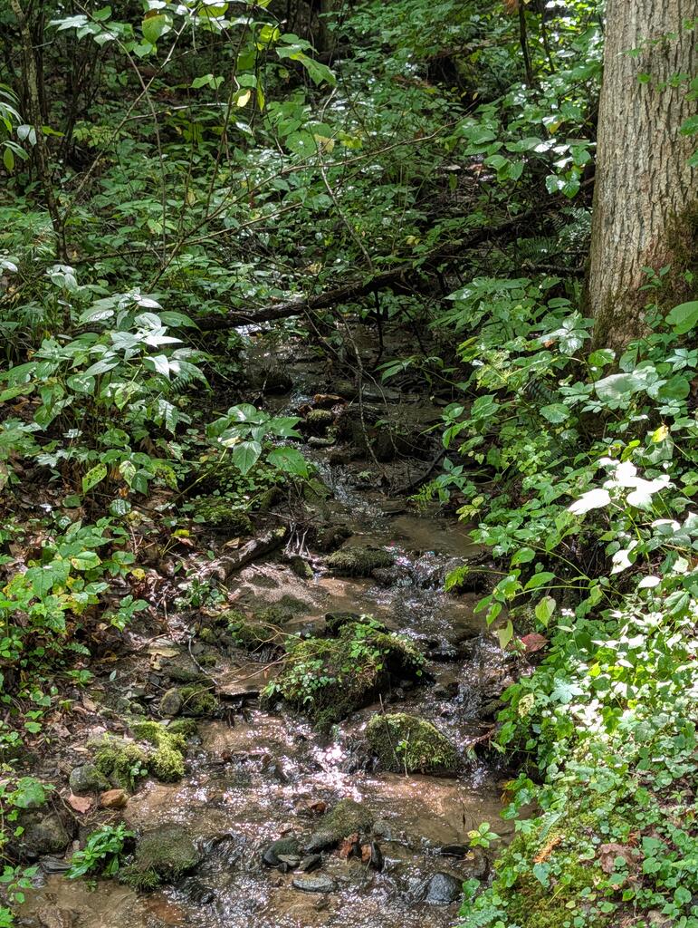 1107 Hemlock Falls Road